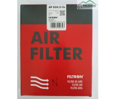 Filtr powietrza FILTRON AP034/3-2x 